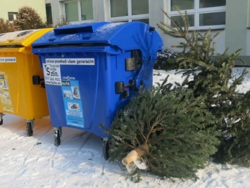 Svoz vánočních stromků letos započne druhý týden v lednu