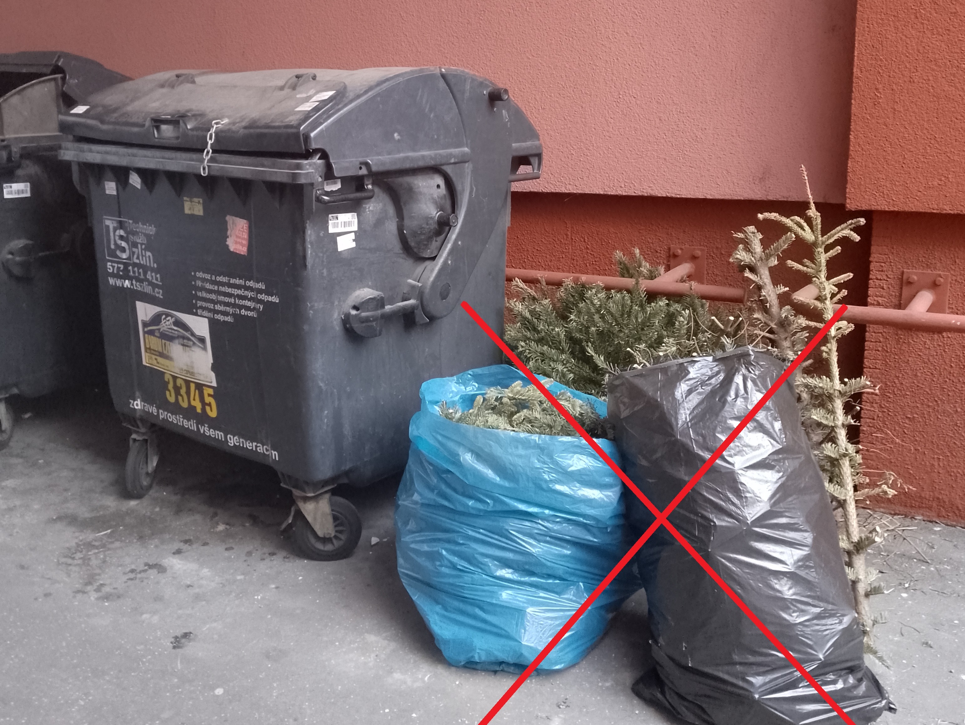 Kam s vánočním stromkem po svátcích?